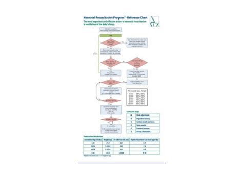 Neonatal Resuscitation Program Reference Chart Free