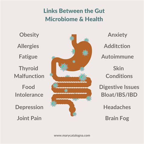3 Tips To Improve Gut Health