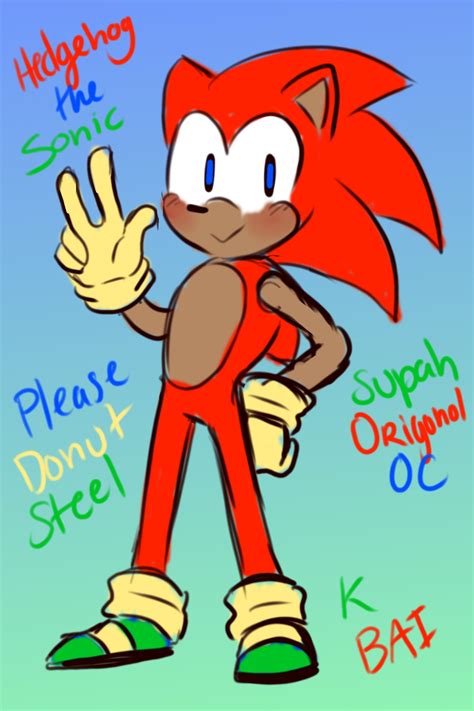 Hedgehog The Sonic Sonic Fanon Wiki Fandom