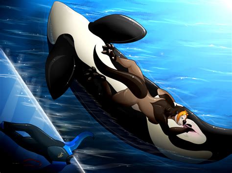 Rule 34 Anthro Anthro On Feral Breasts Cetacean Female Feral Fisting