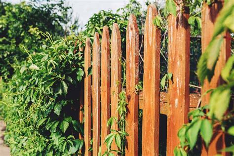 Diy Cheap Fence Ideas For Your Garden Privacy Or Perimeter Design Talk