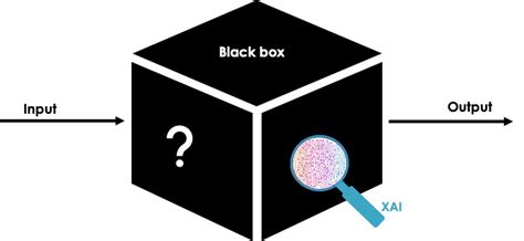 To “black Box” Or Not To “black Box” Cois Coiribe