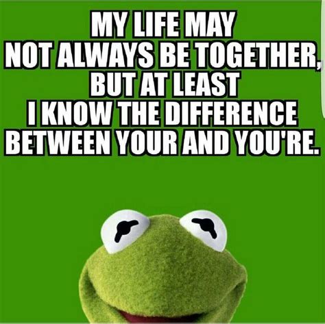 Pin On Kermit And Sarcasm