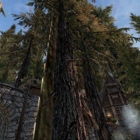 Perfect Whiterun Tree Billboards Appearing Close Up With Dyndolod R