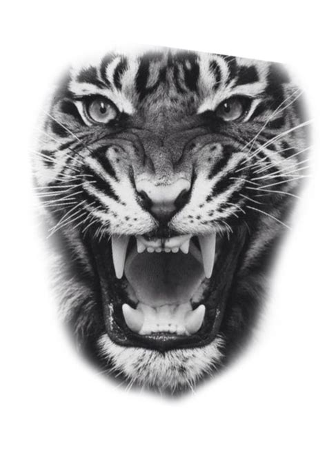 Pin de Алексей Николаич em Татуировки Tatuagem de tigre Imagem de