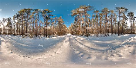 360° View Of Beautiful Landscape With Trees Blue Road Sky Sun Snow At