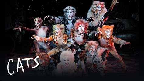 Jellicle Songs Part 1 Cats The Musical Youtube