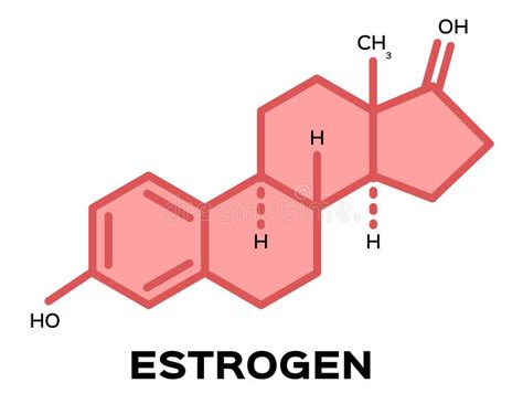 Estrogen Hormones Molecular Formula Sex Hormone Symbol Stock Vector Illustration Of Anabolic