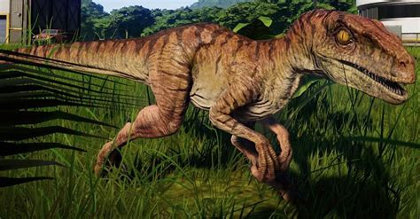 My Favorite Velociraptor Skin Please Jurassicworldevolution Put This