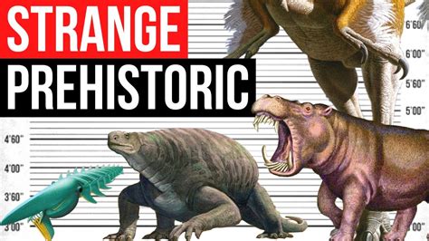 Strange Prehistoric Animals Size Comparison Youtube