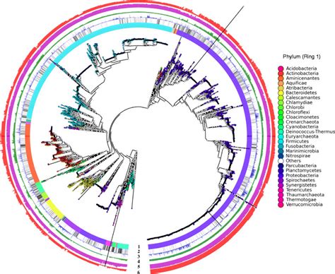 Overview Of The Prokaryotic Genomes The Phylogenetic Tree Contains