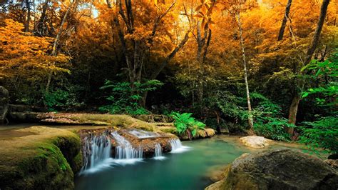 Waterfall In Tropical Autumn Forest Hd Wallpaper Background Image