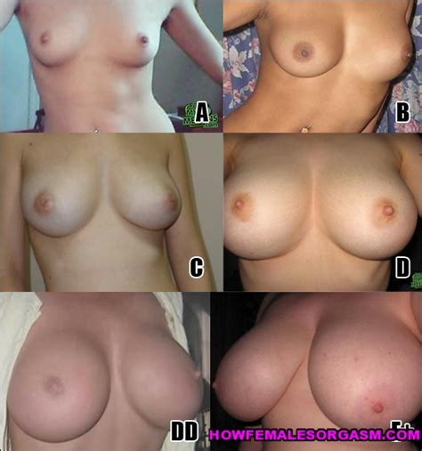 Nude Breast Size Boob Chart Picsninja Com