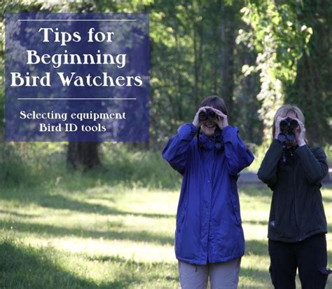 Tips On Selecting Equipment For Beginning Birders And Tools For