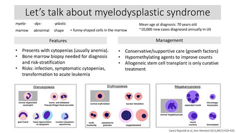 Myelodysplastic Syndrome Md Diagnosis And Management Grepmed