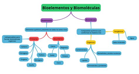 Mapa Conceptual De Biomoleculas Y Bioelementos Geno
