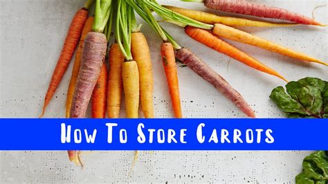 How To Store Carrots In Refrigerator Youtube