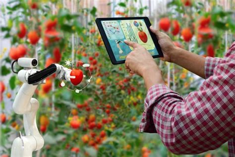 What Is The Future Of Agri Food Robotics In The Eu And Beyond