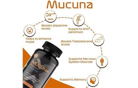 Vitaminhaat Macuna Pruriens Vitality Booster Capsule Uses Price Dosage Side Effects