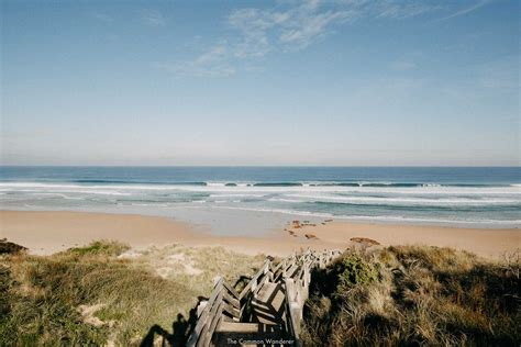 10 Incredible Things To Do On Phillip Island 2023 Guide The Common