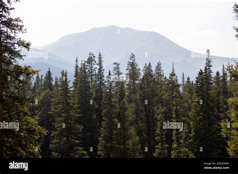 Silverheels Mountain Hi Res Stock Photography And Images Alamy