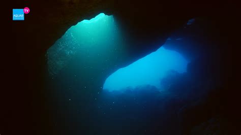 Cuevas Submarinas Todo Sobre Lo Que Sucede En Ellas Fundación Aquae