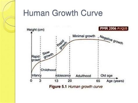 Form 3 Science Chapter 5 Growth