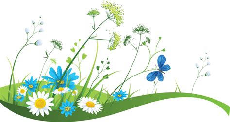Banner Spring Illustration Flower Meadow Png Download 800426