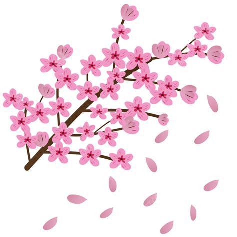 Cherry Blossom Card Vector Hd Png Images Cherry Blossoms Sakura Flower Beautiful Pink Flower