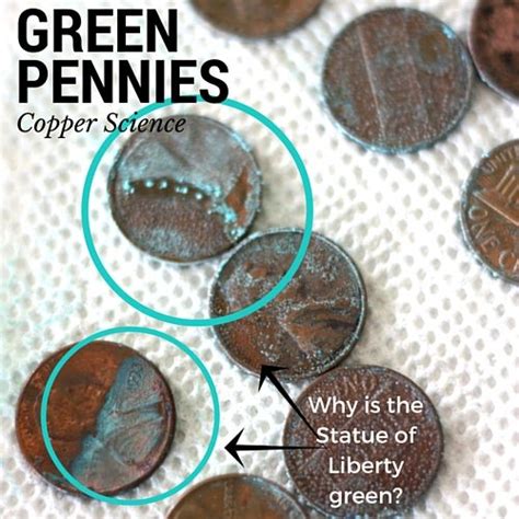 Make Green Pennies Science Activity Copper Experiment Science
