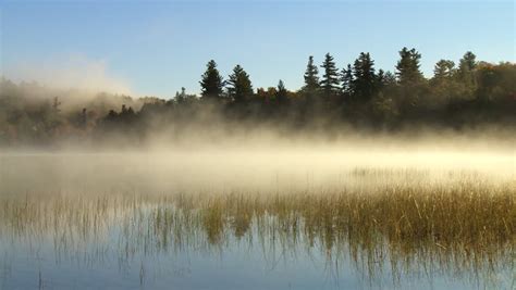 Stock Video Of Morning Mist Flows Over Marsh Grasses