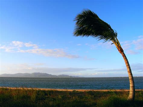 Windy day on the beach. Free windy day Stock Photo - FreeImages.com