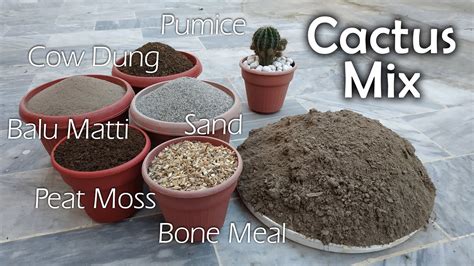 Best Potting Mix For Cactus And Succulent Perfect Soil For Cacti And