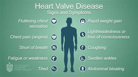 Heart Valve Disease St Vincents Heart Health