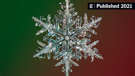 Photos Of Snowflakes Like Youve Never Seen Them Before The New York