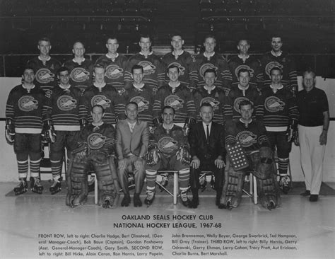 Oakland Seals Hockey Club 1967 Hockeygods