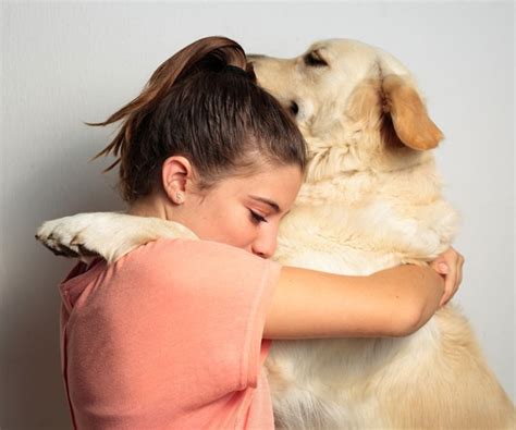 Dogs Intentionally Comfort Owners When Upset Study Confirms