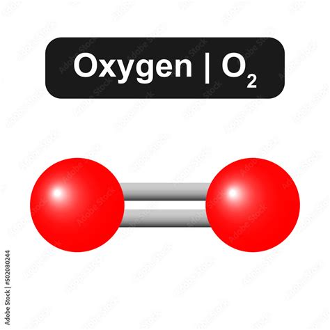 Molecular Model Of Oxygen O2 Molecule Vector Illustration Stock