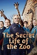 The Secret Life of the Zoo (TV Series 2016– ) - IMDb