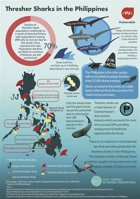 Thresher Sharks In The Philippines Let Us Join The Petition Asking The