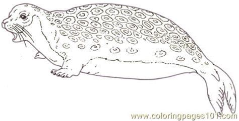 The front fins are hairy, small, and without strength. Mural Tsb Ringed Seal Coloring Page - Free Seal Coloring ...