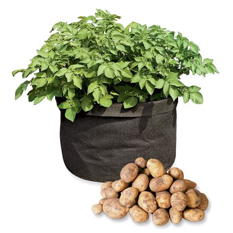 Don't just throw cold eggs into boiling water! Grow Bags - Tomatoes, Peppers, Herbs and Potatoes