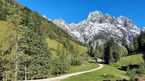 Mountains Forest Path Free Photo On Pixabay Pixabay