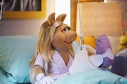 The Muppets - "Generally Inhospitable" - The Muppets Photo (39368943 ...