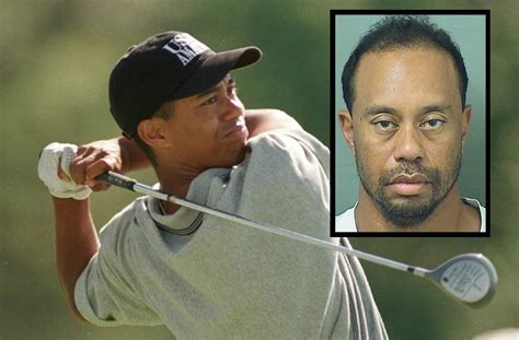 Tiger Woods DUI Disgraced Golf Champ S Tragic Mugshot
