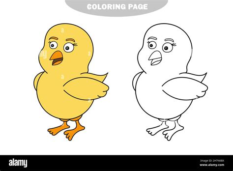 Simple Coloring Page Vector Illustration Funny Baby Chicken On A
