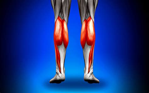Sore Calves After Running Heres 6 Reasons Why How To Resolve It