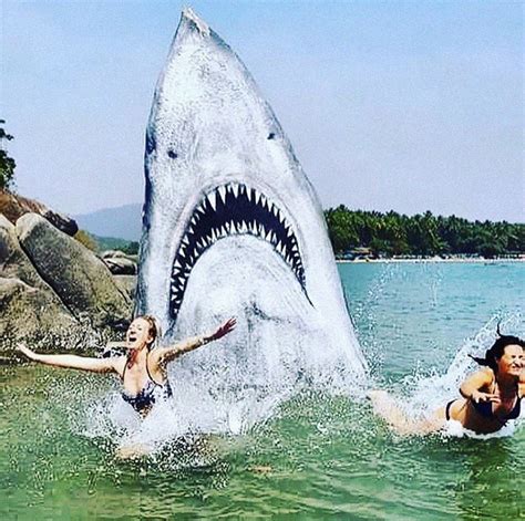 Graffiti Artist Turns A Beach Stone Into A Great White Shark And People