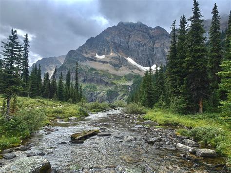 Arnica Lake And Twin Lakes Hike Banff National Park The Holistic