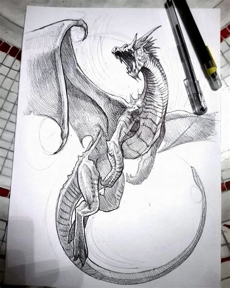 ¿cómo Dibujar Un Dragón Más De 30 Bocetos De Dragón Fácil Harunmudak